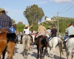 Romería de Mengíbar 2018 – Horario de paseo de caballos en el recinto romero