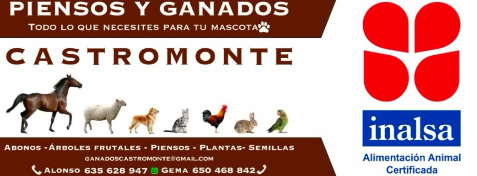 inbound5758287723694077548 ALONSO VILCHEZ MARTINEZ