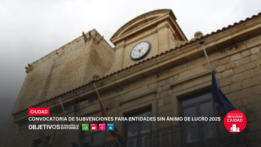 Subvención para entidades sin ánimo de lucro 2025