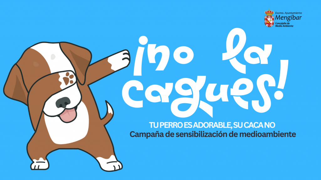 Campaña de recogida de excrementos