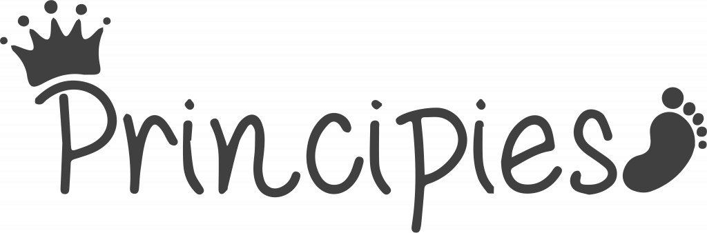 logo principies