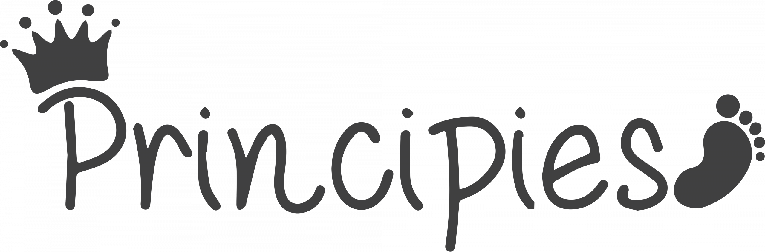 logo principies