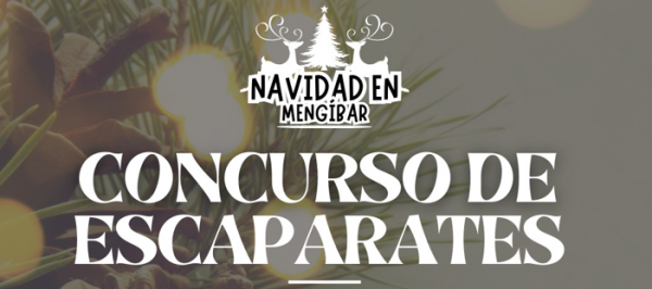 Captura de pantalla 2025 12 01 131122 portada