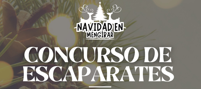 Captura de pantalla 2025 12 01 131122 portada