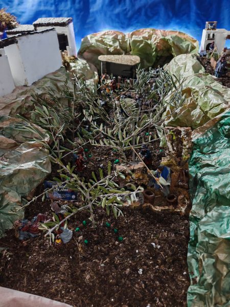 WhatsApp Image 2025 12 19 at 10.20.02 WhatsApp Image 2025 12 19 at 10.20.02