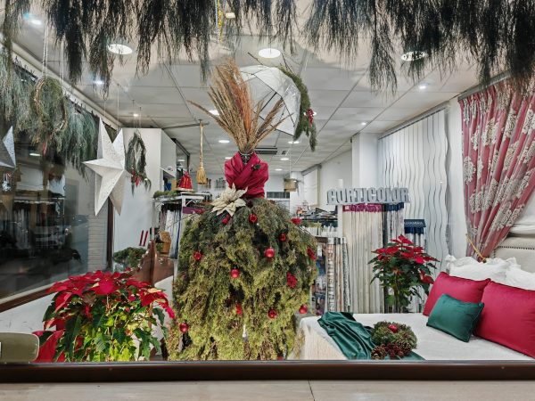 WhatsApp Image 2025 12 19 at 10.31.03 (1) WhatsApp Image 2025 12 19 at 10.31.03 (1)